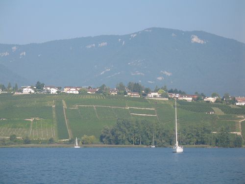 Pêche Lac de Neuchâtel 09.09.2012 048