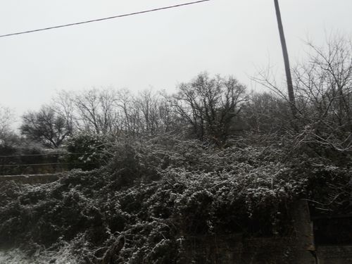DSCN9133.JPG