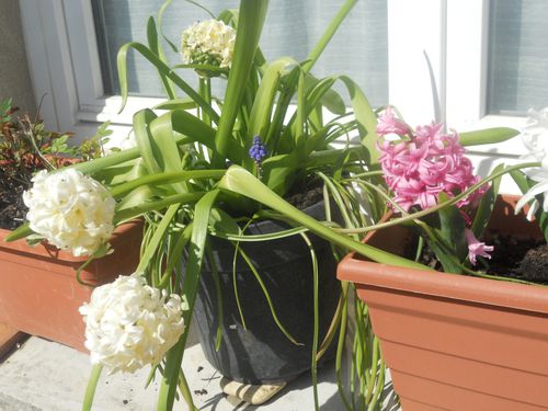 DSCN9299.JPG