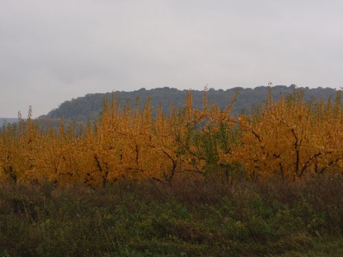 2010NOVEMBRE-049.jpg