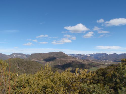 P2210045-copie-1.JPG