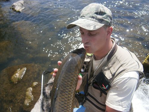 carp fly fishing Karpfen Fliegenfischen carpe a la mouche