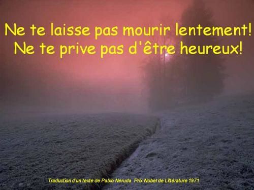ne-te-laisse-pas-mourir-lentement.JPG