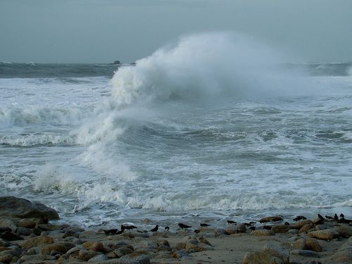 2462-Vague-a-LESCONIL.jpg