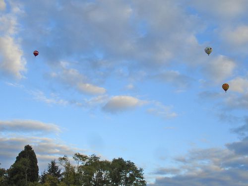 6437-MONTGOLFIERES.jpg