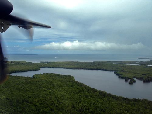 7342-Grande-Terre-MANGROVE.jpg