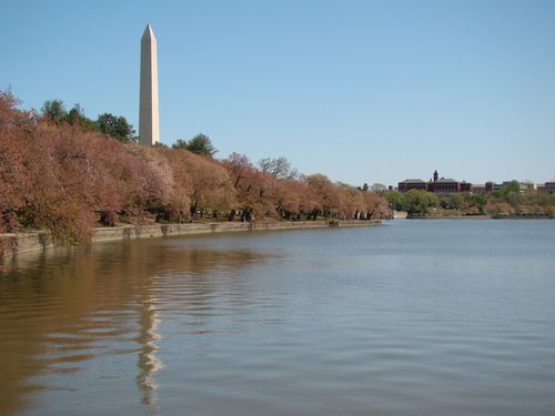 0191-Le-Tidal-Basin-Washington.jpg