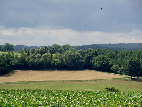 6864-Campagne-du-Limousin.jpg