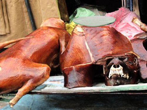 0640-SAPA-Viande-de-chien.jpg