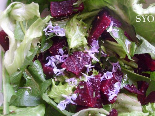 Salade-betterave-fleur-romarin-Mamigoz.jpg