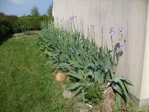 Jardin-Pâques 2011-Chez-Mamigoz (16)