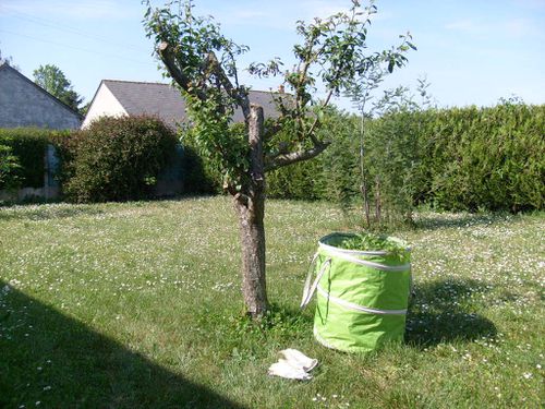 Jardin-Pâques 2011-Chez-Mamigoz (8)