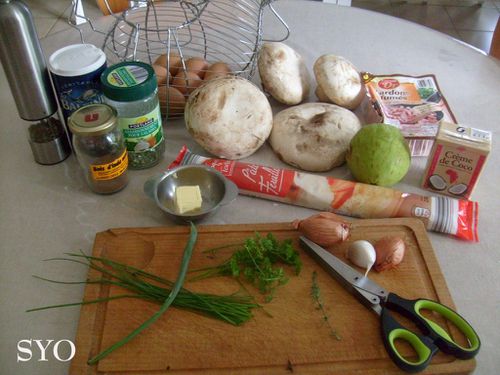 Quiche aux Champignons Géantset christophine-Mamigoz (2)