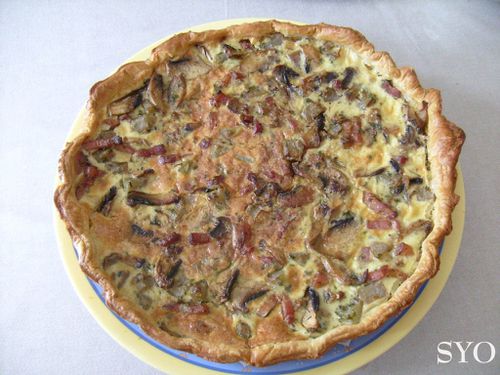 Quiche aux Champignons Géantset christophine-Mamigoz (21)