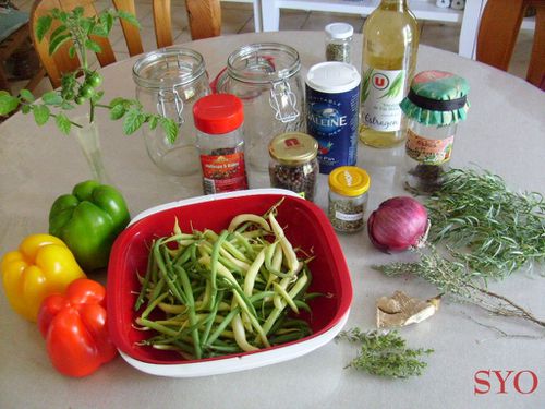 poivrons et haricots au vinaigre de vin blanc-Mamigoz (1)