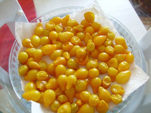 Tomates cerise huile-aromates-1Mamigoz (6-2)