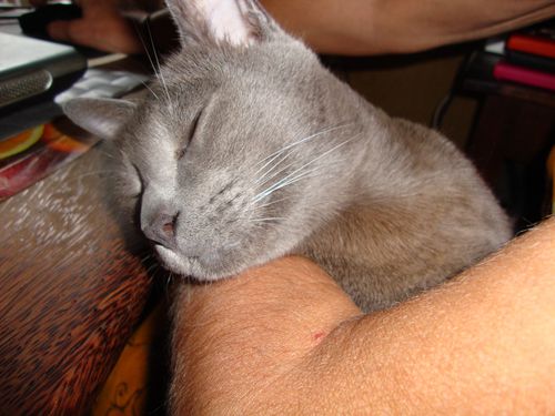 2010_0707sony20030.JPG