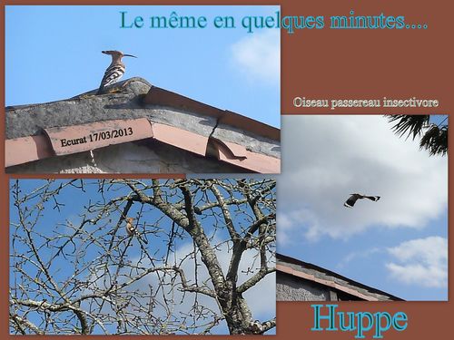 Juin 2012-005-copie-3