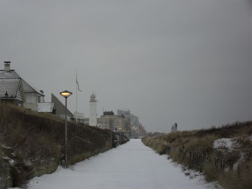 SDC10398.JPG