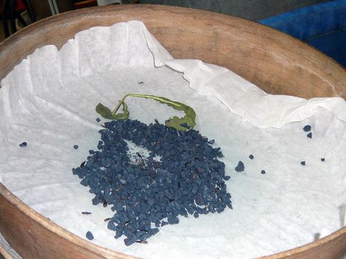 bleu.jpg