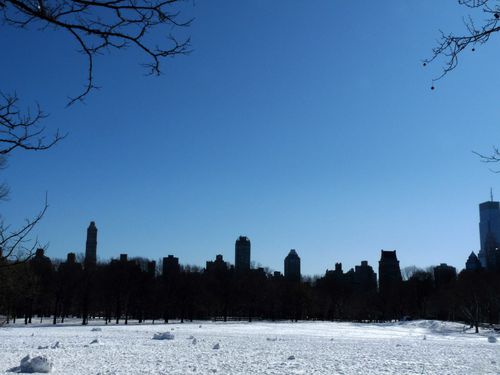 P1000531 dernière promenade à Central Park