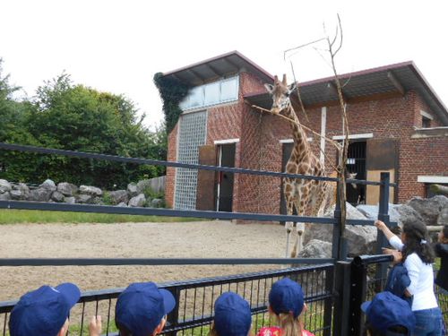 rencontre avec un soigneur animalier