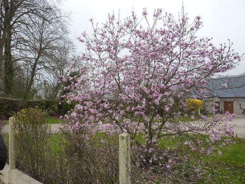 2012 04 Cuverville-sur-Yères 001 008