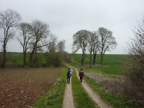 2012 04 Cuverville-sur-Yères 001 011