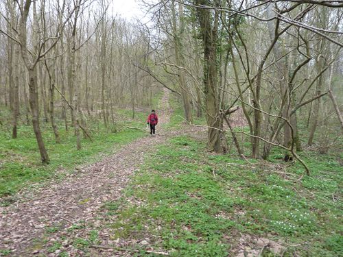 2012 04 Cuverville-sur-Yères 001 016