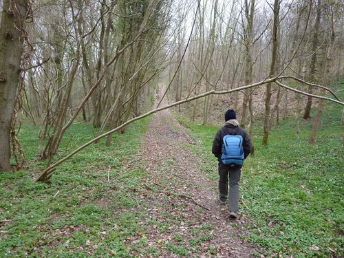 2012 04 Cuverville-sur-Yères 001 017