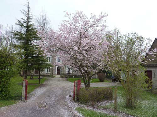 2012 04 Cuverville-sur-Yères 001 048