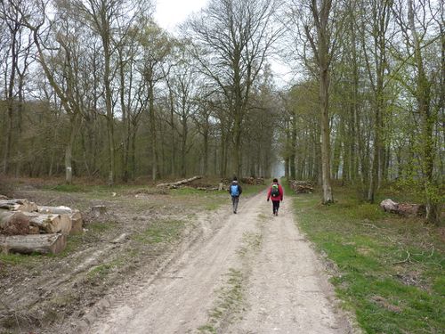 2012 04 Cuverville-sur-Yères 001 068