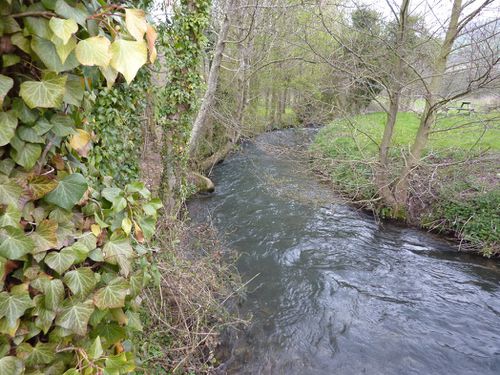 2012 04 Cuverville-sur-Yères 001 105