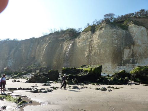 PourvilleQuiberville20110901 0023