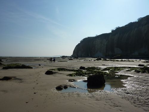 PourvilleQuiberville20110901 0024