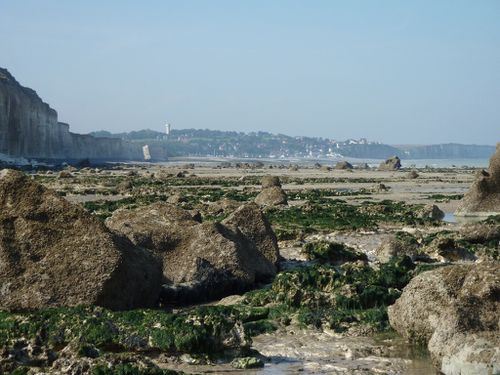 PourvilleQuiberville20110901 0030