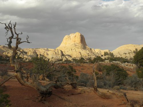 2011-11-04 : 03 - Capitol Reef NP