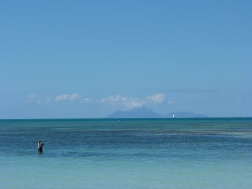 2013-02-03-13.34.14.jpg