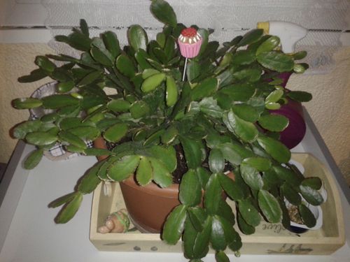 2014-12-08-22.07.49.jpg