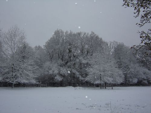 neige2-004.jpg