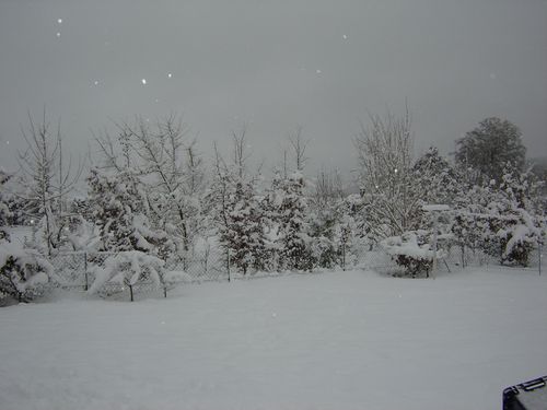 neige2-014.jpg