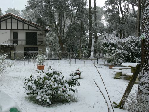P1050854.JPG
