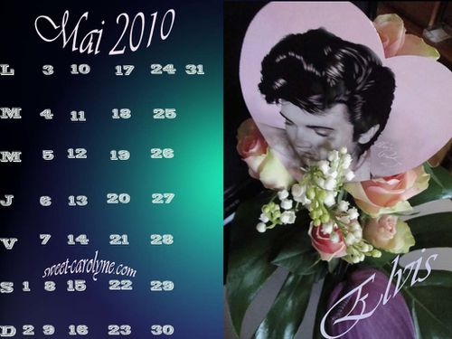 1 Mai 2010