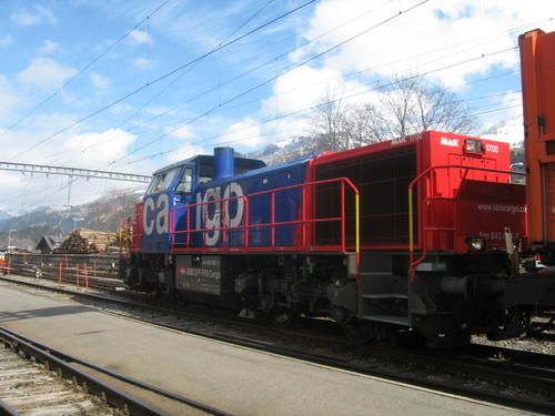 IMG_2599.jpg