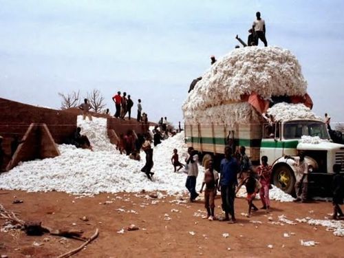 coton burkina