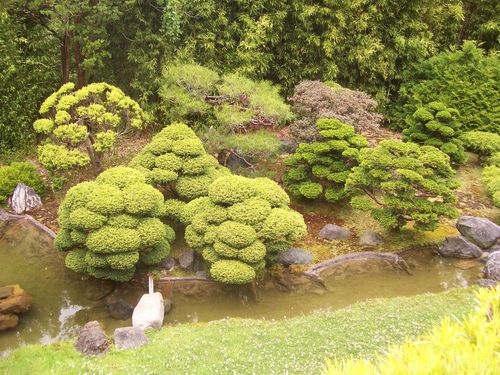 Japanese garden (16)