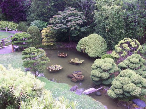 Japanese garden (3)