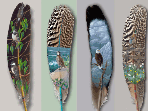image1.gif