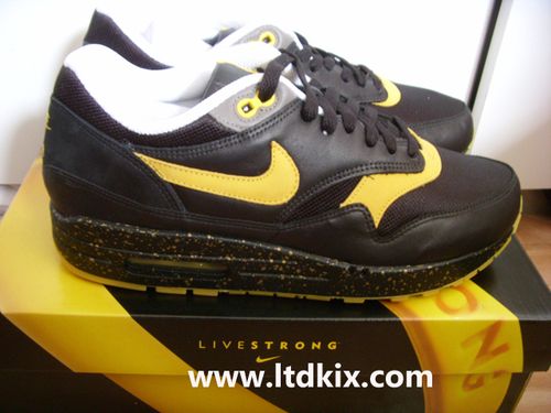 am1 lv3