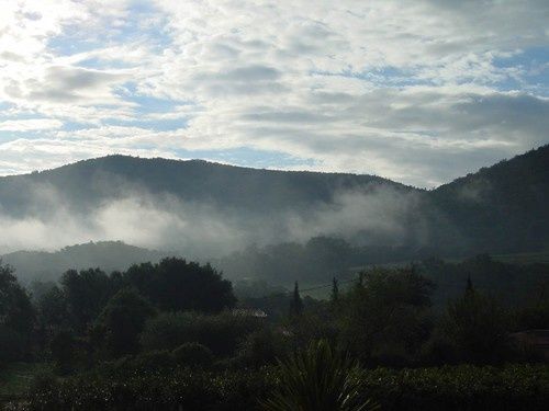 m-brume.jpg
